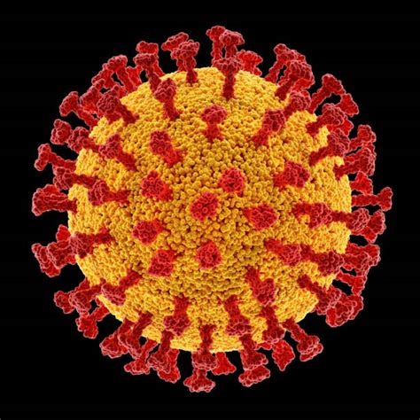 Rhinovirus Stock Photos, Pictures & Royalty-Free Images - iStock