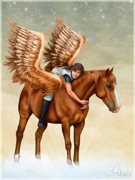 Pegasus The Dream Of Riding And Flying All In One Horses Unicorn