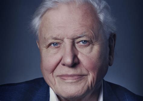 Netflix UK film review: David Attenborough: A Life on Our Planet ...