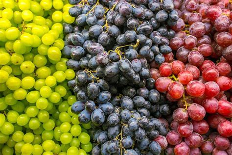 Uvas Todos Los Tipos Propiedades Usos Y Beneficios Para La Salud