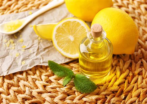 10 Amazing Lemon Essential Oil Benefits For Skin WellMe