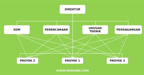 Struktur Kepengurusan Cv Serat