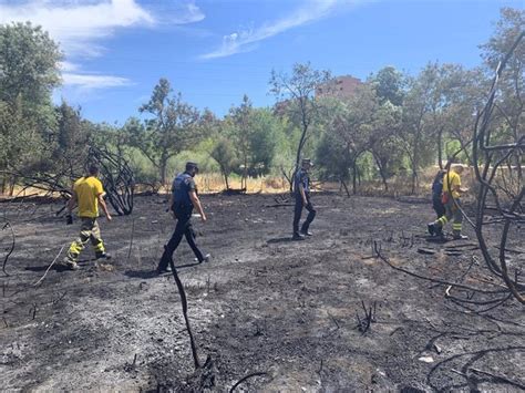 Arde una hectárea de pasto y matorral bajo en la Casa de Campo