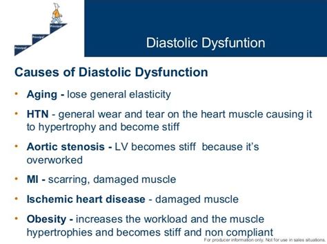 Principal Basics Of The Echocardiogram Diastolic Dysfunction And Left…