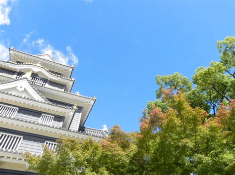 일본여행 오카야마 6박7일 여자혼자가는 소도시여행 오카야마성고라쿠엔비젠야키체험소도시여행해외여행세관 몸수색경험담