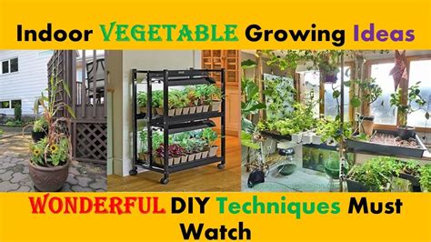 Diy Indoor Vegetable Growing Ideas Indoor Vegetable Garden Indoor Vegetable Plants