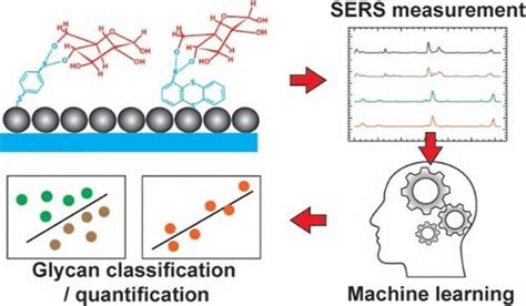 Direct Glycan Analysis Of Biological Samples And Intact Glycoproteins