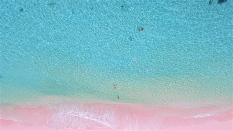 Pink Beach with Clear Ocean at Komodo Islands. Beach with Natural Pink ...