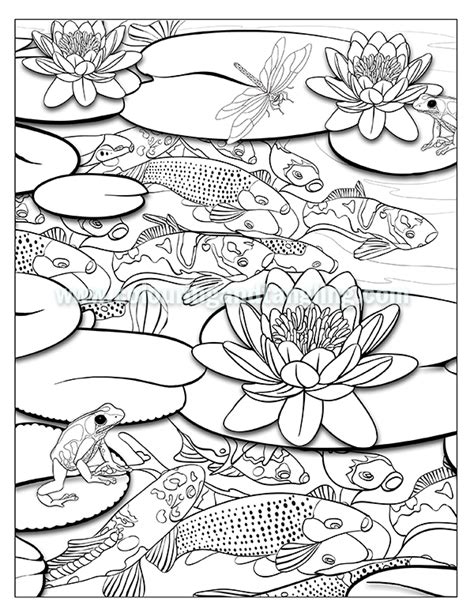 Pond Coloring Pages Printable Sketch Coloring Page