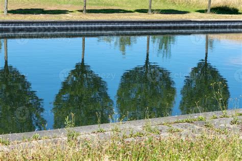 Tree reflection on water 10467860 Stock Photo at Vecteezy