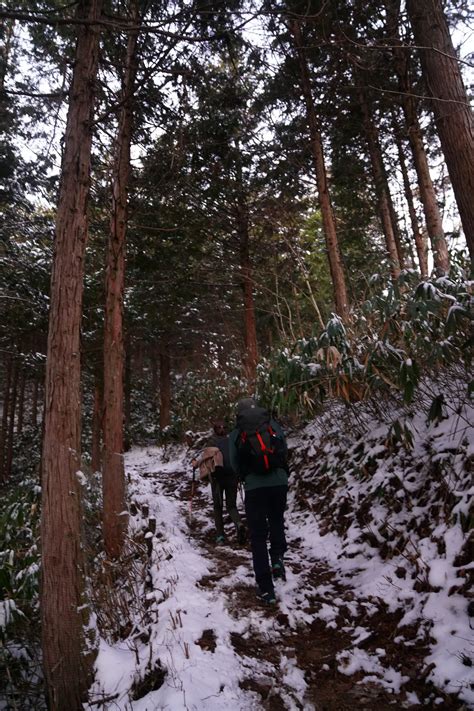 南沢山・横川山｜霧氷を求めて初冬ピストン山行