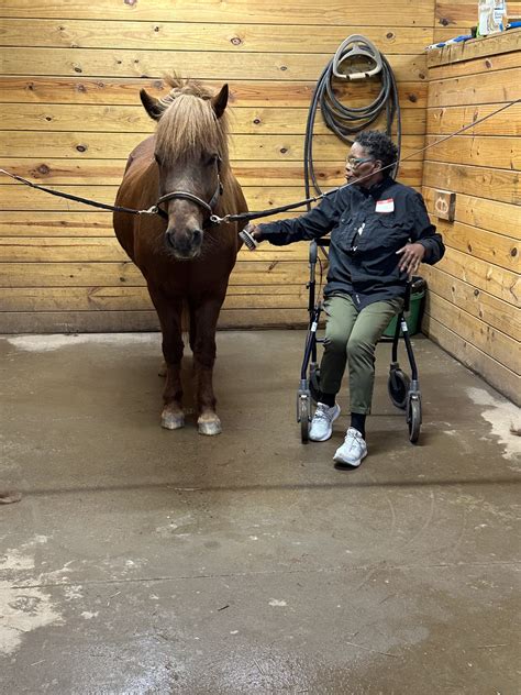 Harnessing the Healing Power: The Benefits for Veterans Participating