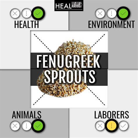 Fenugreek Sprouts Benefits Archives Healabel