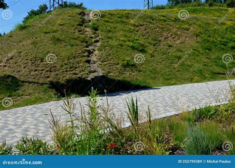 Steep Grassy Hill