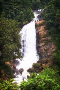 Meenmutty waterfalls. Ponmudi. Kerala | Ponmudi, Waterfall, Kerala