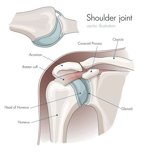 Brabston Casp And Momaya Perform First Subacromial Balloon Spacer Procedure At Uab