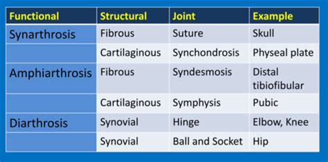 Musculoskeletal System Session Eleven Clinical Pathology Of Joints And