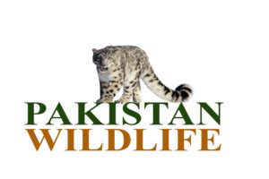 Pakistan Wildlife