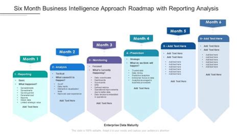 Six Month Business Intelligence Approach Roadmap With Reporting