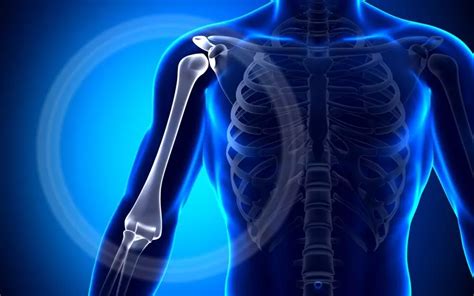 Fracture Of The Ischium - Treatment, Consequences | Diseases 2025