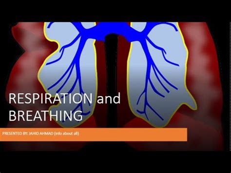 RESPIRATION AND BREATHING What Is Difference Between Respiration And