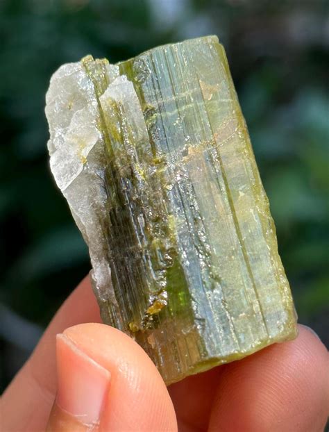 rare raw green tourmaline crystal stonerough green tourmaline specimen