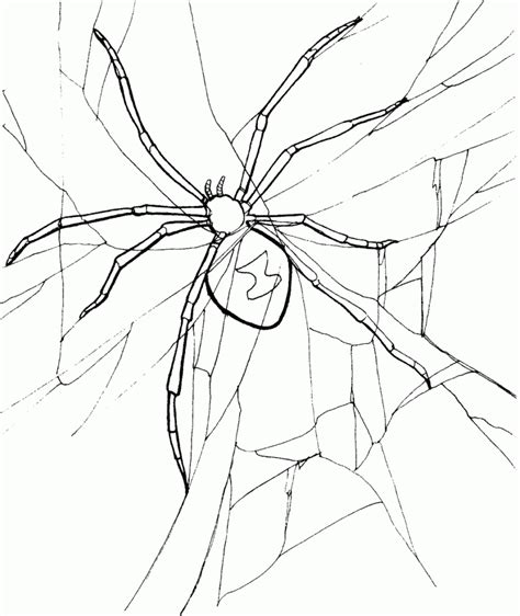 Black Widow Spider Coloring Pages Coloring4free Coloring4Free