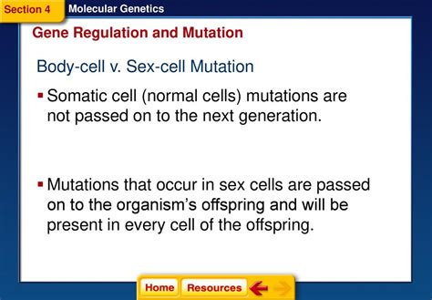 Molecular Genetics Section 1 Dna The Genetic Material Ppt Download