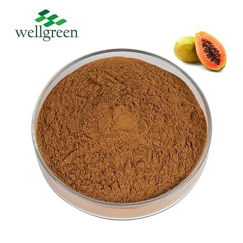 Bulk Extract Dried India Iso Pure Fresh Papaya Fruit Papain Enzyme