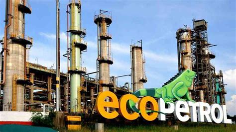 Ecopetrol la división social del trabajo y su estructura jerárquica