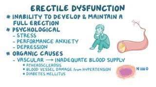 Phosphodiesterase Inhibitors: What Are They, How Do They Work, What Are ...