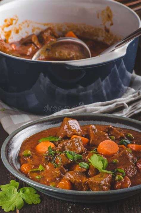 Beef stew with carrots stock photo. Image of homemade - 111294488