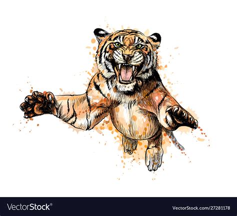 Portrait a tiger jumping from splash Royalty Free Vector