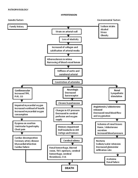 Pathophysiology Hypertension