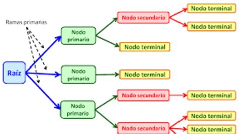 Diagrama De Arbol Probabilidad Ejemplos Youtube