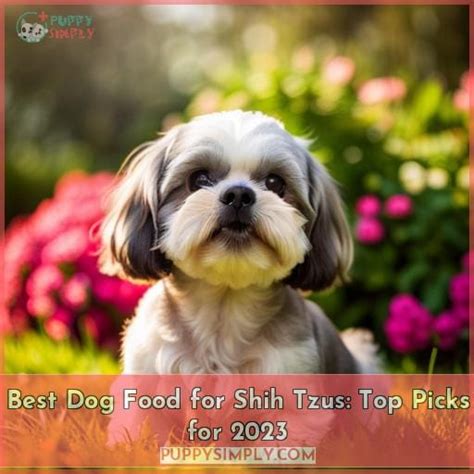 Best Dog Food For Shih Tzus Top Picks For 2023