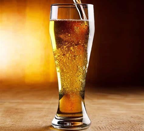 A Complete Guide To The Best Pilsner Glasses Beertannica