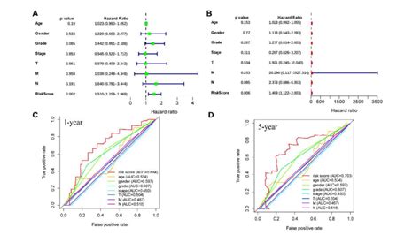 Valuation Of The Independent Prognostic Factor In Lncrnas Prognostic