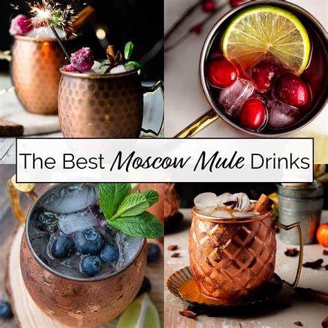 15 Best Mule Drinks (The Best Variations of Moscow Mule Cocktails)