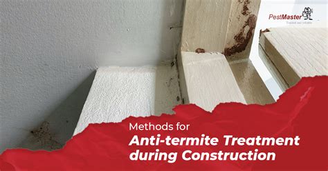 Methods For Anti Termite Treatment During Construction Pestmaster