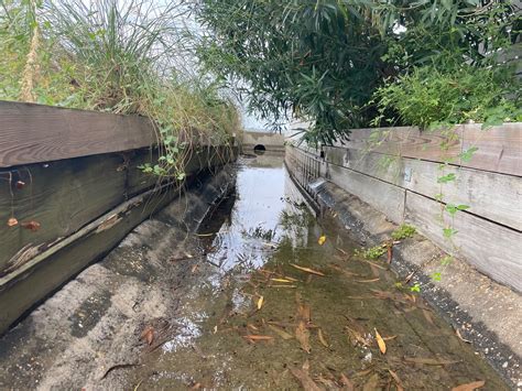 Weekly What Is It High Tide Flooding Ufifas Extension Escambia County