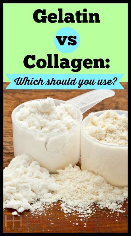 The Difference Between Gelatin And Collagen Hollywood Homestead