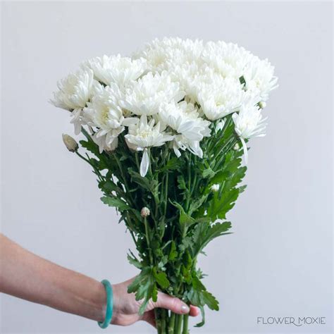 White Cushion Pom Flower | DIY Wedding Flowers | Flower Moxie