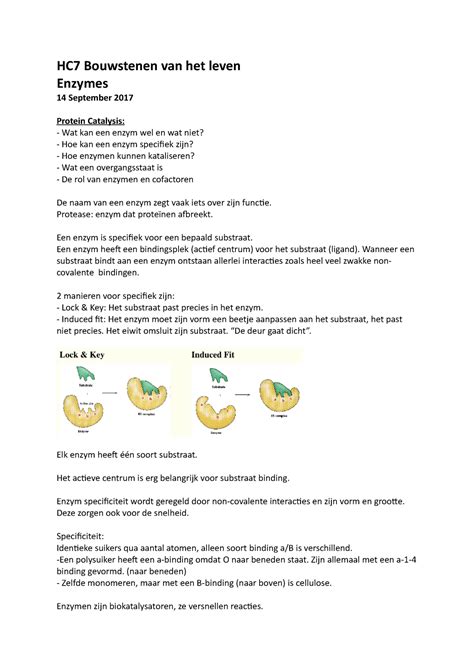 Enzymes Aangevulde Aantekeningen Hc Bouwstenen Van Het Leven Enzymes