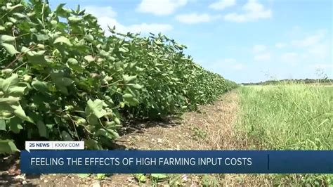 Rising Farming Input Costs Youtube