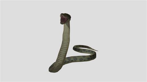 Anaconda attack jungle - Download Free 3D model by ayoubbenz [efec825 ...