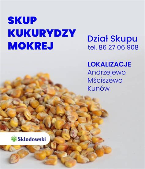 Skup Kukurydzy Mokrej Sklodowski Pl