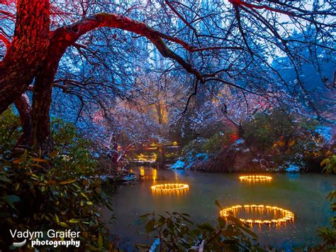 Vadym Graifer's Photography: Snow Day at The Butchart Gardens