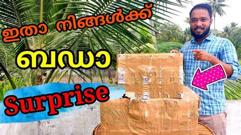 നിങ്ങൾക്ക് ഒരു ബഡാ Surprise🎉🎉 കിടിലൻ സമ്മാനം 100 പേർക്ക് 🎁🎁 Youtube