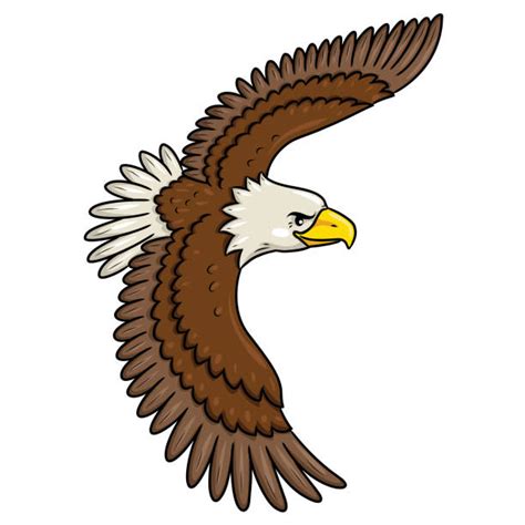 Cartoon Of The Bald Eagles Flying Illustrations Royalty Free Vector